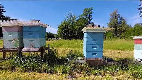 2020 Natural Garden Tour: Bob and Brenda Calvert