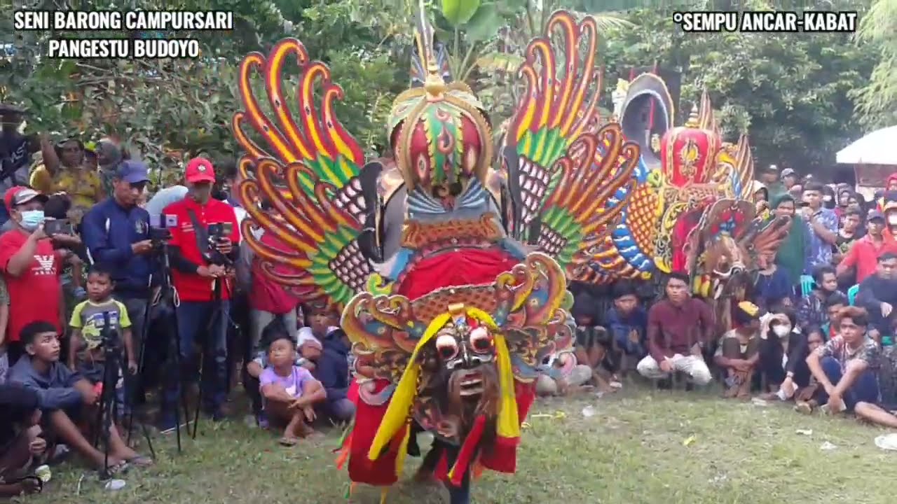 TARI BARONG PREJENG || BARONG PANGESTU BUDOYO MARAS-ROGOJAMPI || LIVE SEMPU ANCAR-KABAT-BANYUWANGI
