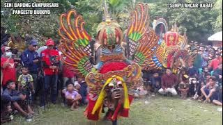 TARI BARONG PREJENG || BARONG PANGESTU BUDOYO MARAS-ROGOJAMPI || LIVE SEMPU ANCAR-KABAT-BANYUWANGI