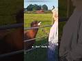 Try not to laugh: funny animals edition 🤣#funnyanimals #funny #funnyvideo #foryou