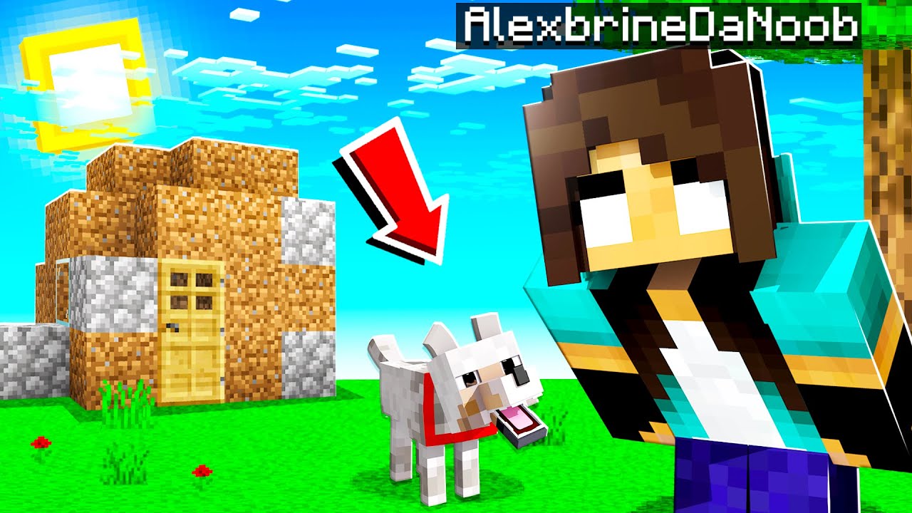 noob Girl's SECRET BABY WOLF House in Minecraft!