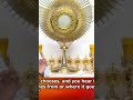 DivineUK:All good things happens through the Holy Spirit