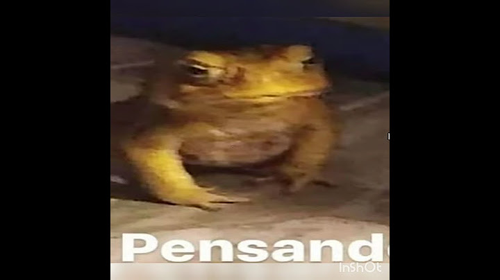 Pensando como Pensando como llegue a los 15 subs