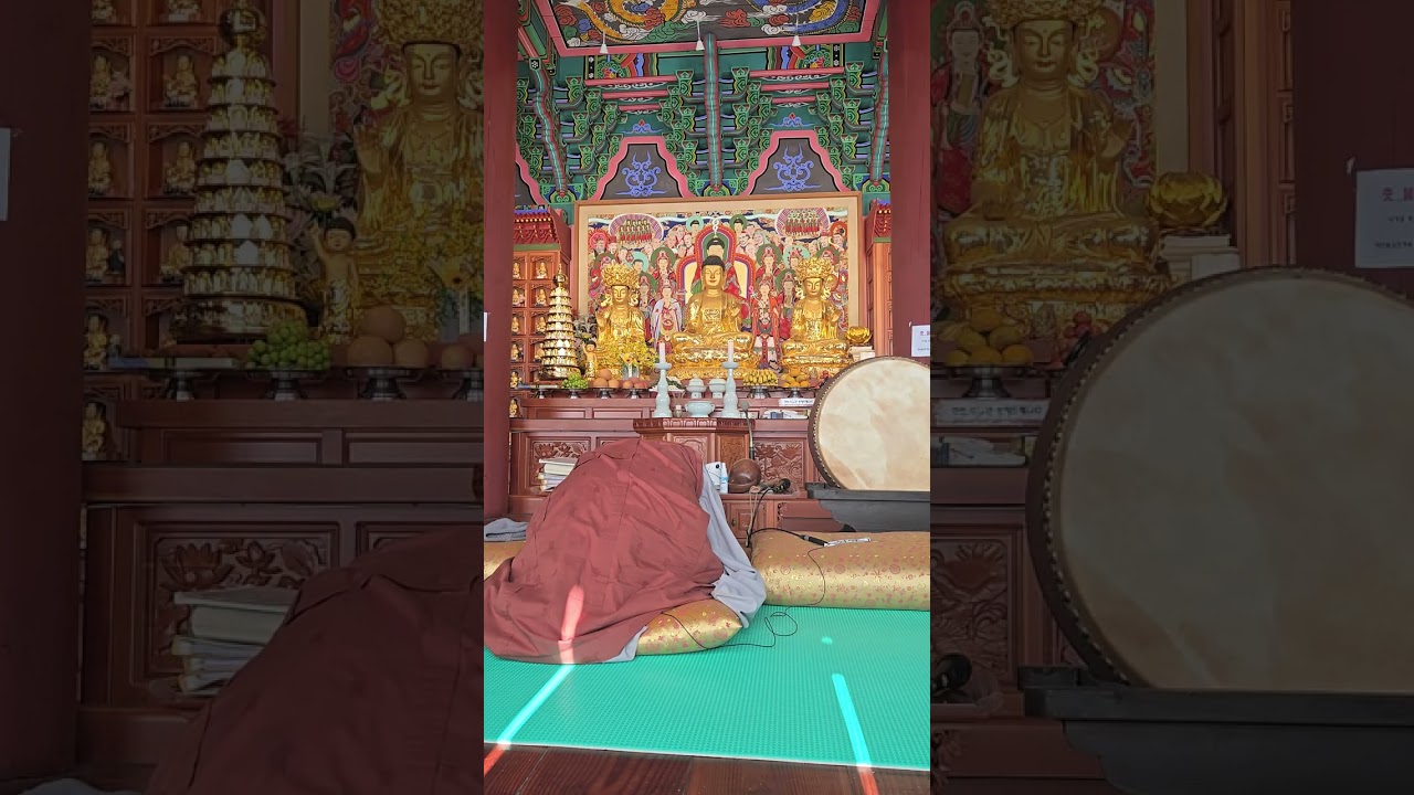 정초사시기도*천수경독송*충주화암사혜원스님