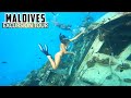 [4K] MALDIVES ULTIMATE EXCURSION! Nurse Sharks, Stingrays, Dolphins, Shipwreck & Sandbank!