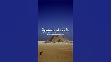 تلاوات عطرة من الذكر الحكيم بصوت يريح القلب ❤ #القرآن_الكريم #اكسبلور #المغرب #المصحف #راحة_نفسية