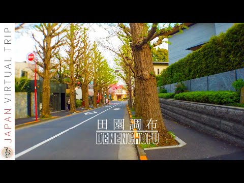 [4K] Rich neighborhoods In Tokyo, Japan - 高級住宅街 - (田園調布)