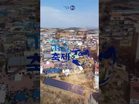 🐟✨ 숭어 뛰고, 희망 날다! 2026 무안겨울숭어축제가 내일까지 개최됩니다!!