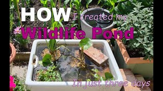 HOW I created my wildlife pond in just three days