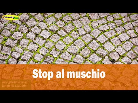 Video: Stop al muschio: come prevenire il muschio sulle piante