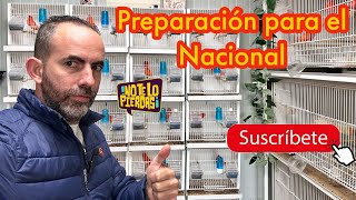 Preparación para el Nacional 🇪🇸