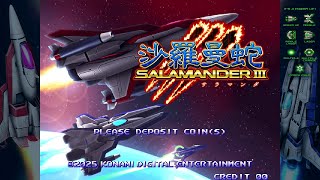 Salamander III (Gradius Origins) Vic Viper 2-All 3-4 2,874,910pts