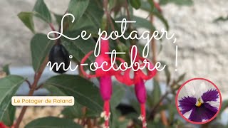 Quoi faire au potager mi-octobre ? (LE POTAGER DE ROLAND)