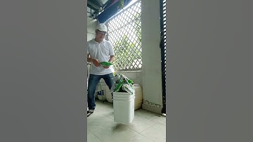 Dây Cước Bình Dân Câu Mọi Loại Cá #Shorts