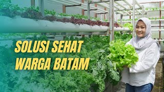 Usaha Tani Hidroponik Kori Garden. Pertanian Sehat dari Batam