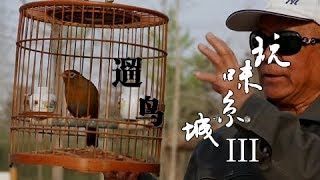 《玩味京城》第三季 第五集 遛鸟 | CCTV纪录