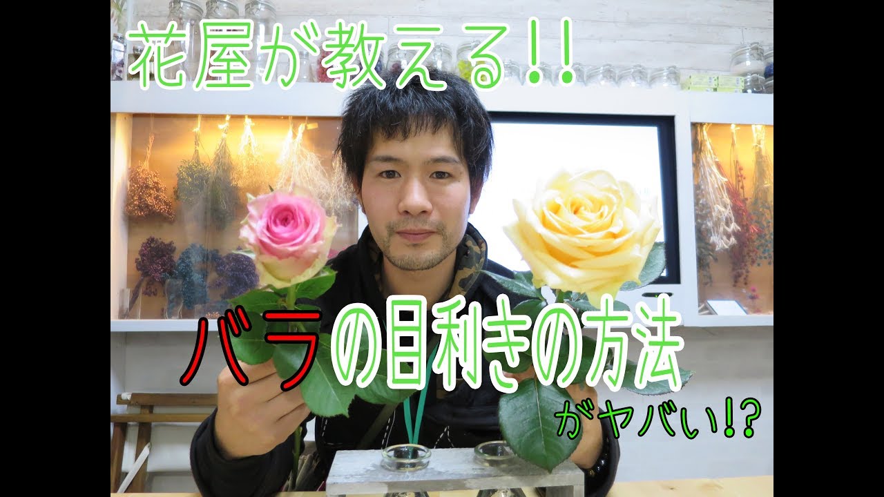 バラが枯れる3つの理由 切り花を長持ちさせる花の管理方法も教えます Youtube バラが枯れる3つの理由 切り花を長持ちさせる花の管理方法も教えます Youtube