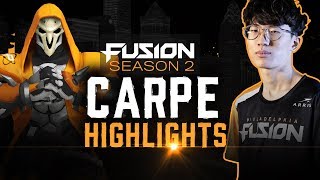 High Powered Carpe Owl 2019 Season Highlights