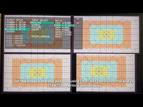 Related Embedded Video Item Thumbnail