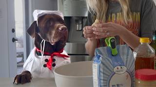 MY LABRADOR HELPS ME BAKE HIS BIRTHDAY CUPCAKES!! *HAPPY BIRTHDAY WOODY*