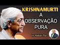 14º ESTUDO DO NOSSA LUZ INTERIOR DE KRISHNAMURTI - A OBSERVAÇÃO PURA