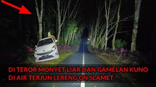 Download Lagu NEKAT KE AIR TERJUN LERENG GN. SLAMET - YANG TERJADI BIKIN MERINDING !  MP3