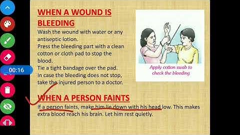 Class 4 Science Chapter 8 CBSE Board Safety First Part 2- #LearnPlaySchool