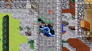 Ratv playing Enforced- Tibia 8.60