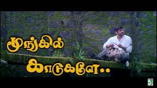 மூங்கில் காடுகளே...