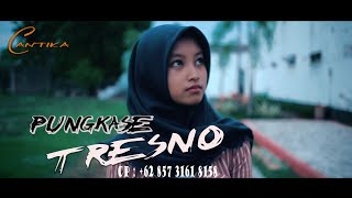 PUNGKASE TRESNO CANTIKA DAVINCA ( VIDEO MUSIC OFFICIAL )