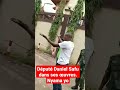 Le Député Daniel Safu Dans Ses œuvres Afingi Ye NYAMA Nakobeta Yo Okosumba N A Bilamba 