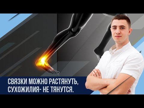 Связки и сухожилия. в чем отличие?