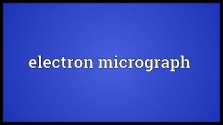 Electron micrograph Meaning