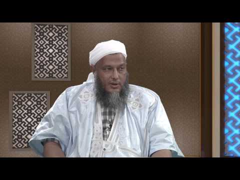 العلامة الددو يبين الفرق بين القصة والحكاية برنامج معالم2