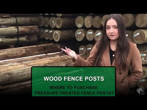 Video: Il legno trattato a pressione deve essere tinto?