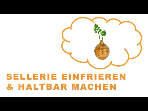 Sellerie einfrieren & haltbar machen: Die Anleitung