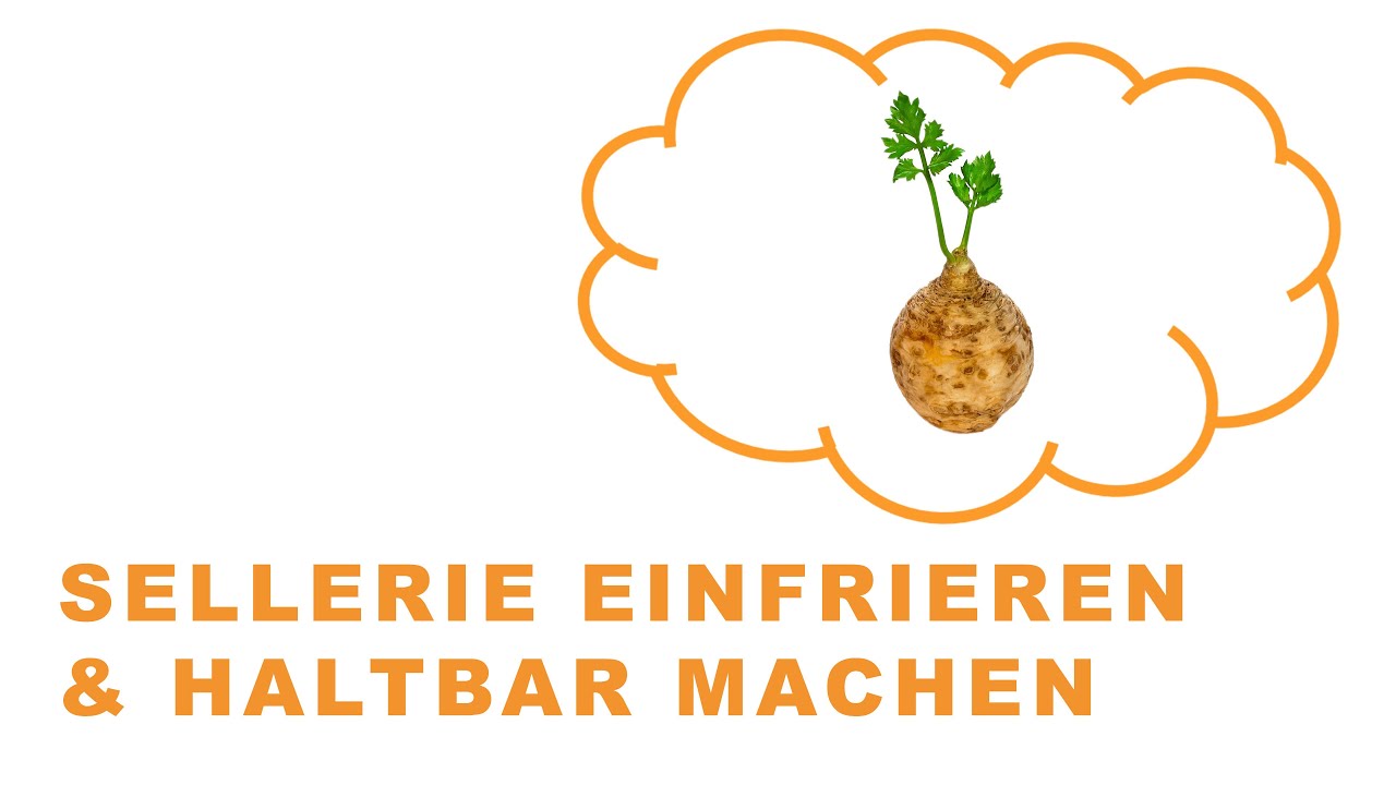 Sellerie einfrieren & haltbar machen: Die Anleitung