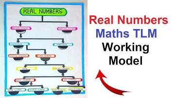 real numbers working model - maths tlm - diy | craftpiller