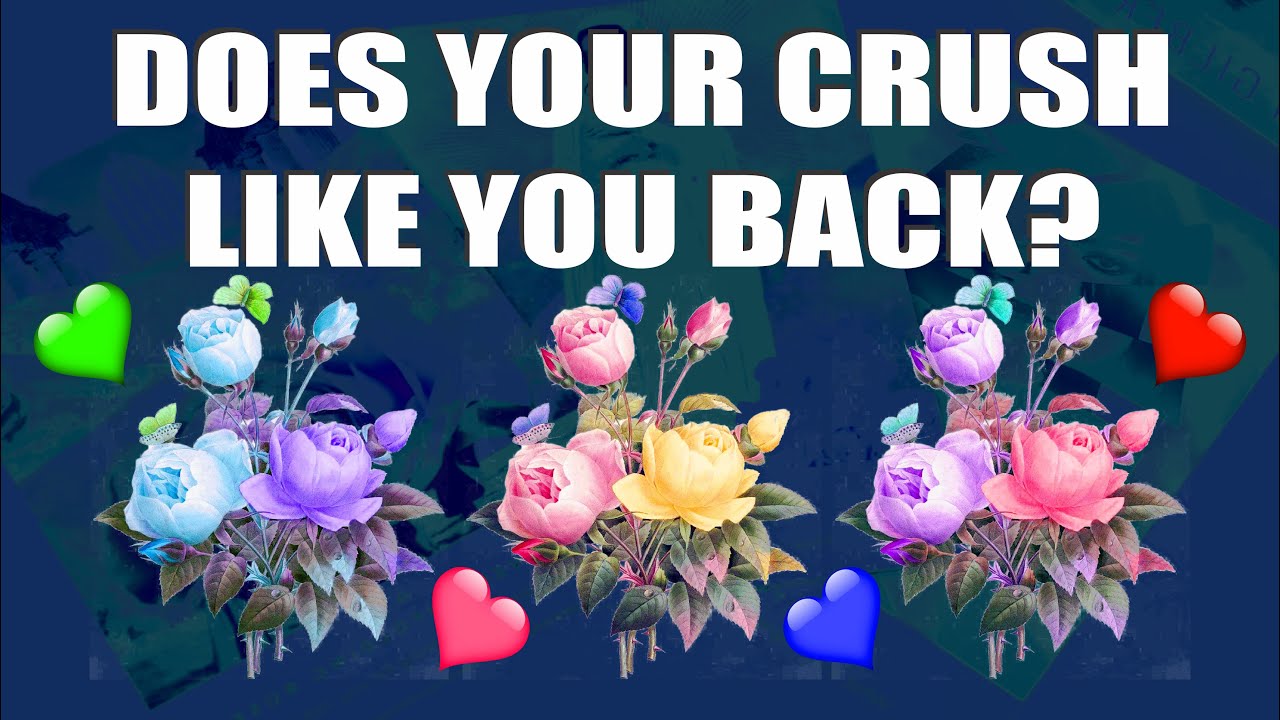 🌷 DOES YOUR CRUSH LIKE YOU BACK? 🌈 Pick a Card