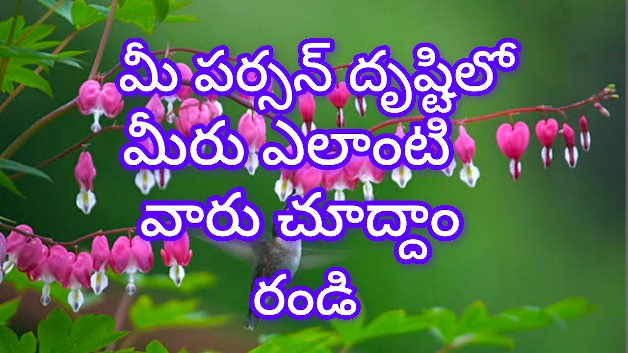 (పర్సన్ రీడింగ్ 9392617054) మీ పర్సన్ దృష్టిలో మీరు ఎలాంటి వారు చూద్దాం రండి