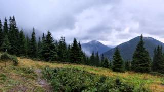 Karpaty Wschodnie w panoramie