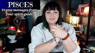 Pisces you don't know how important the next 3 months will be - tarot reading