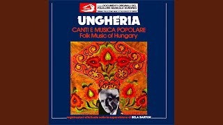 Porondos Viz Partjan (On the Sandy Bank. Remastered)