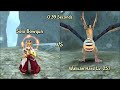 Toram Online - Solo Bowgun VS Walican Hard Lv.257 (0:39)