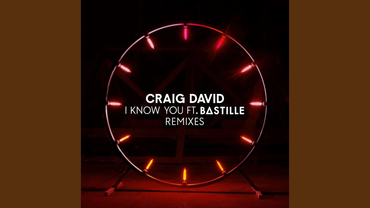 I Know You (Vigiland Remix) (feat. Bastille)