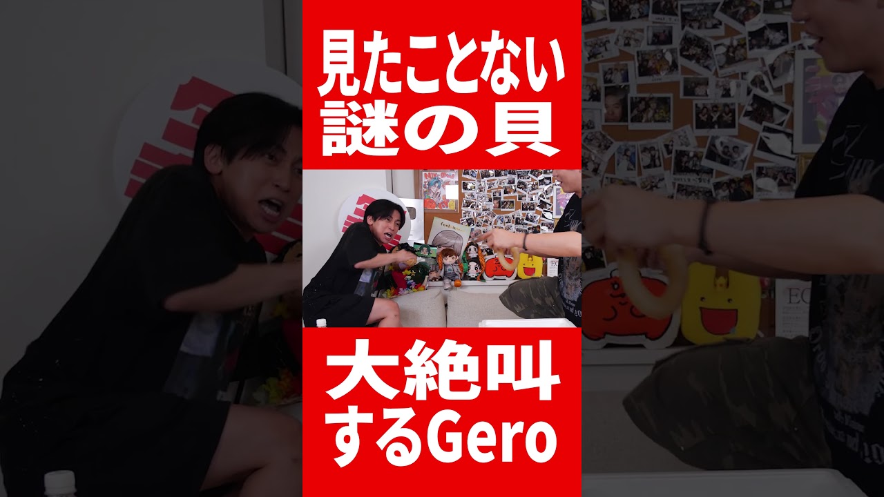 謎の生物を見て大絶叫するGero #肉チョモ #gero #めいちゃん