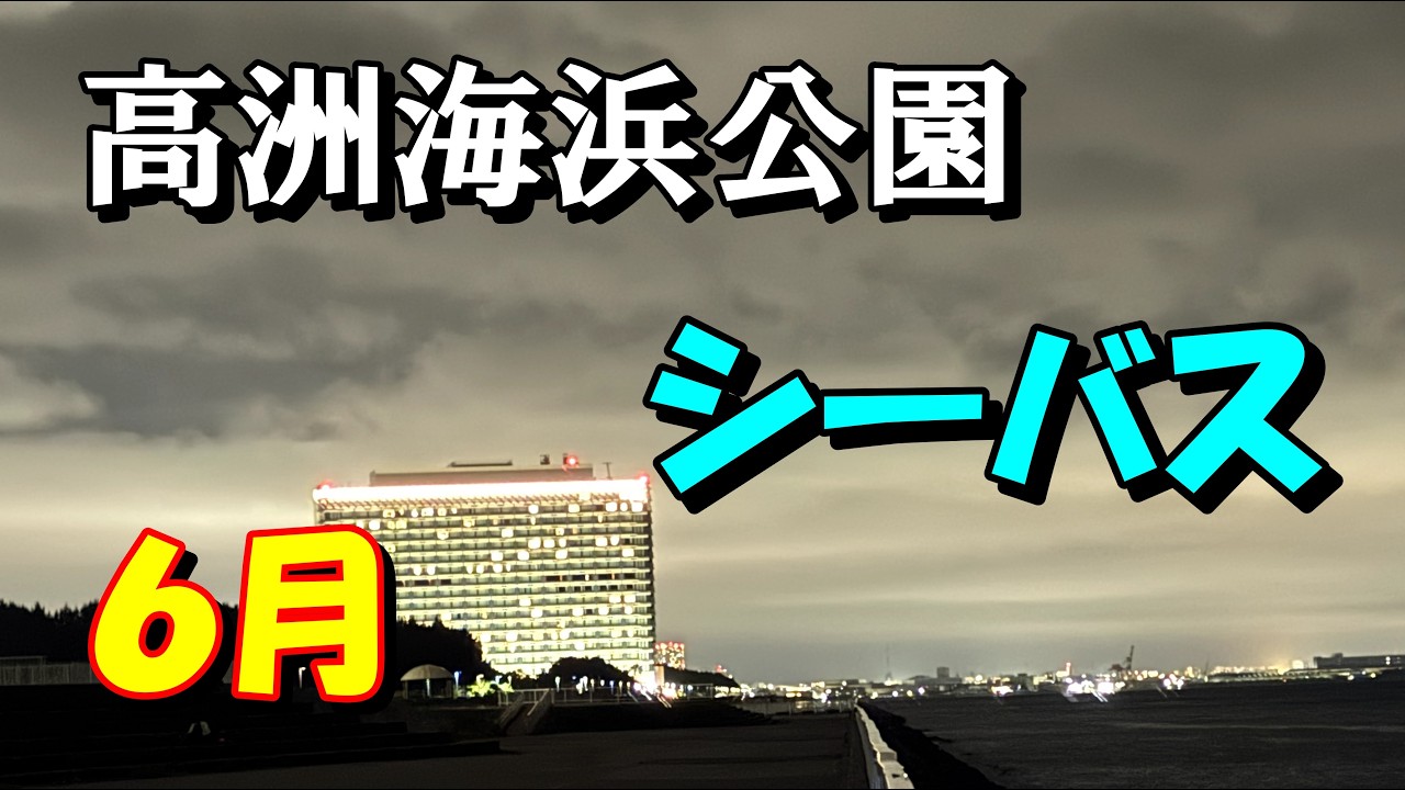 シーバス　高洲海浜公園　夕方後　東京湾奥浦安