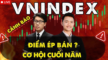 VNINDEX Có Bị Ép Bán? Cảnh Báo Xu Hướng & Cơ Hội Cuối Năm 2025