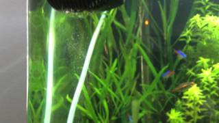 Fluval Ceramic 88g-CO2 Diffuser