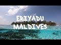 Smartline Eriyadu Island Resort Maldives - nurse sharks, turtles & manta ray | GoPro Holiday video